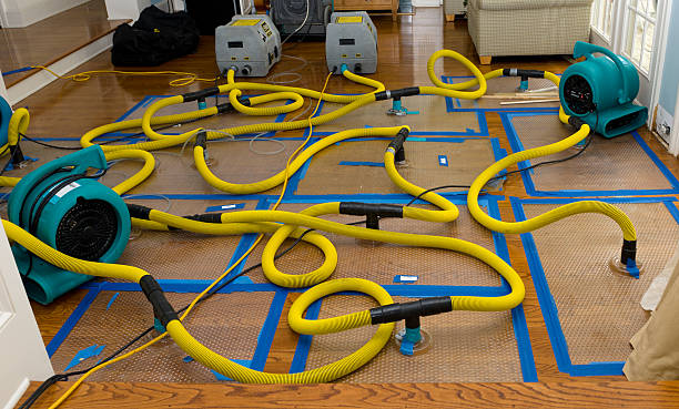 Professional Water Extraction technician working in Lillian, TX